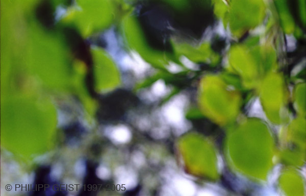 wm_garten2_36